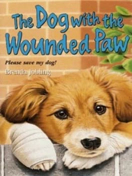 The Dog with the Wounded Paw by Brenda Jobling Book