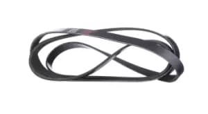 RIDEX V-ribbed belt 305P0101 Serpentine belt,Auxiliary belt MERCEDES-BENZ,OPEL,FORD,C-Klasse Limousine (W204),VIANO (W639),C-Klasse Limousine (W202)