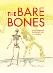The Bare Bones : An Unconventional Evolutionary History of the Skeleton