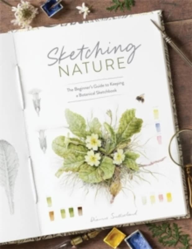 Sketching Nature : The Beginners Guide to Keeping a Botanical Sketchbook Paperback / softback