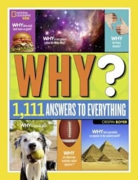 Why? Because Because Why? by Crispin Boyer