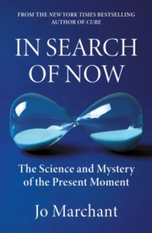 In Search of Now : The Science and Mystery of the Present Moment Hardback