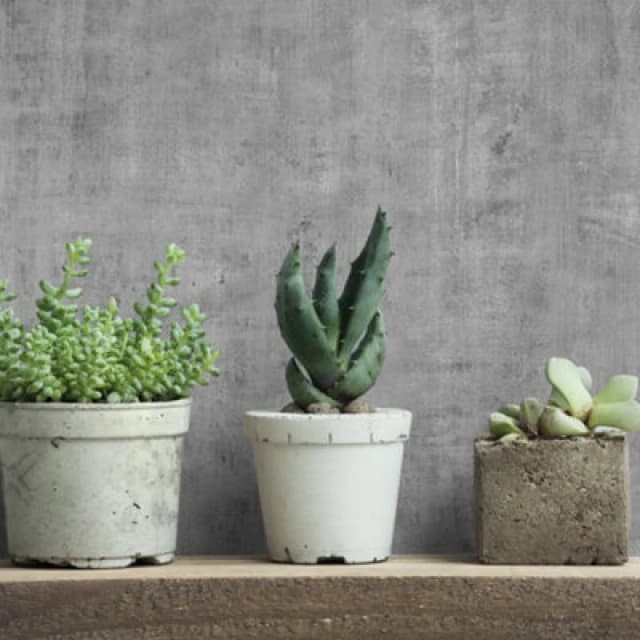 Galerie Industrial Effects Greyglass Stone Concrete Texture Wallpaper Roll