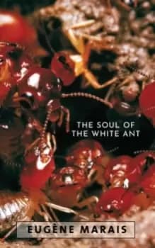 The Soul of the White Ant