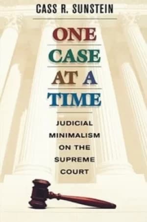 One case at a time by Cass R. Sunstein