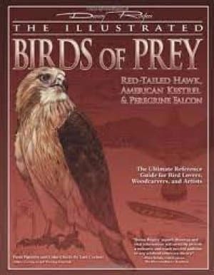 The illustrated birds of prey by Denny Rogers|Lori Corbett