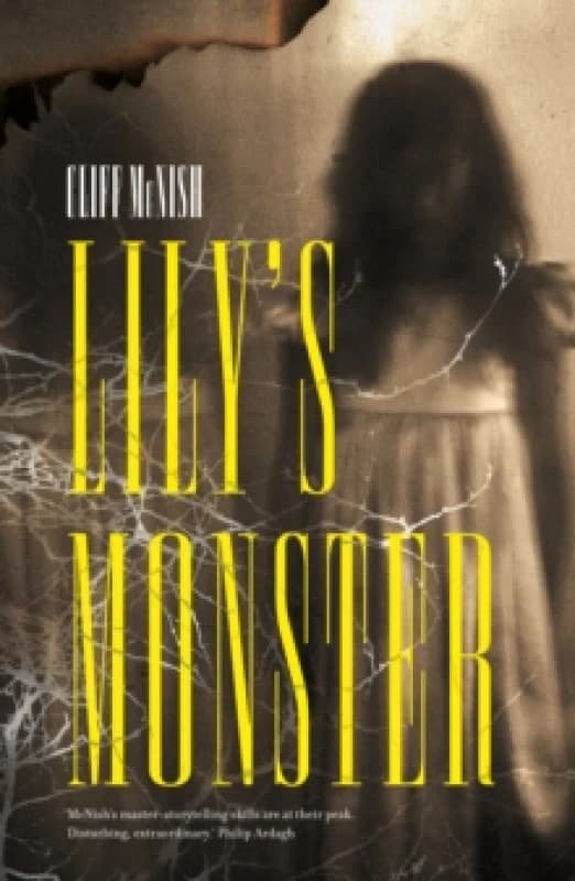 Lily's Monster Paperback / softback