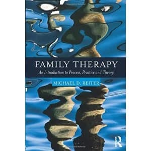 Family Therapy: An Introduction to Process, Practice, and Theory by Michael Reiter (Paperback, 2017)