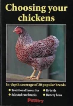 Choosing Your Chickens Paperback