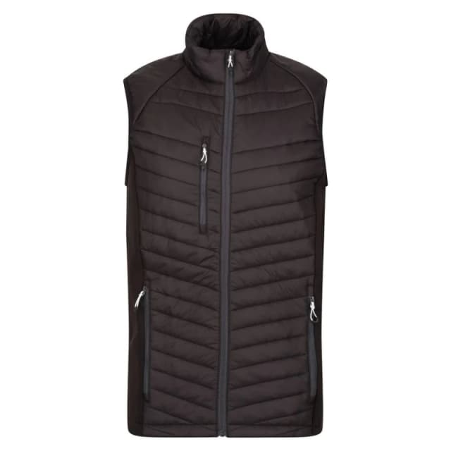 Regatta Professional Mens Quilted Hybrid Gilet in Black Size: XS Black Male XS
