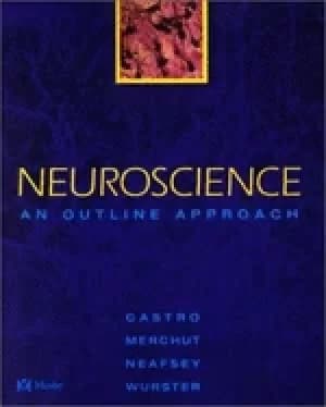 neuroscience an outline approach