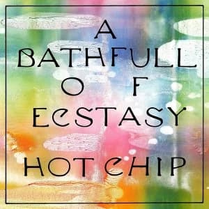 Hot Chip - A Bath Full Of Ecstasy Double Vinyl
