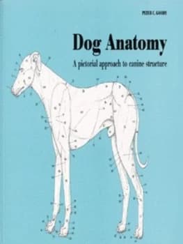 Dog Anatomy by Peter Goody Book
