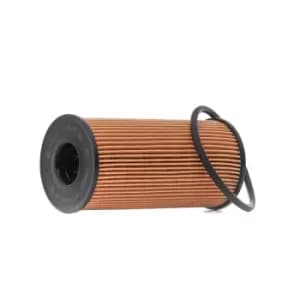 Bosch Oil filter F 026 407 088 Engine oil filter MERCEDES-BENZ,RENAULT,NISSAN,A-Klasse (W177),CITAN Kasten (415),Citan Kombi / Tourer (415)