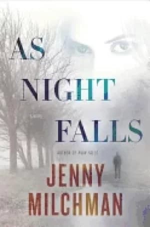 as night falls a novel