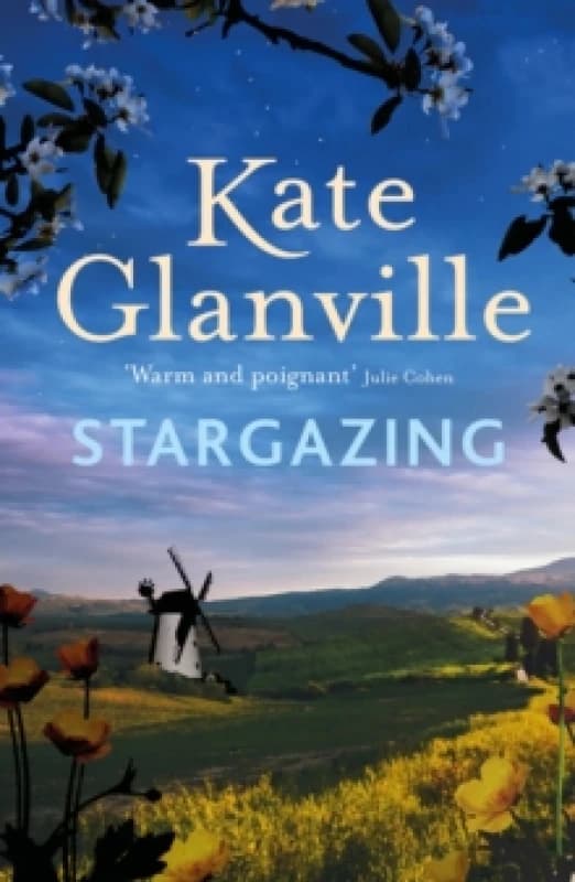 Stargazing : A captivating and charming read of love and family secrets to curl up with this autumn Paperback / softback