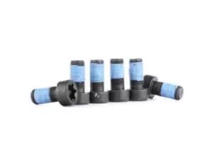 SACHS Screw Set, flywheel OPEL,FIAT,CHEVROLET 1874 000 028 55214338,2001719,55203317 55589147,616334,55214338,55214338,55214338,2001719,55203317