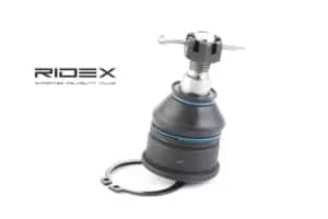 RIDEX Ball joint HONDA 2462S0074 51210S5TZ00,51210S6DG10,51215S6DG10 51215S6DG10S1,51220S5A003,51220S5AJ10,51220S5AJ30