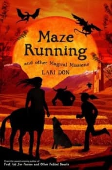 Maze Running by Lari Don Paperback