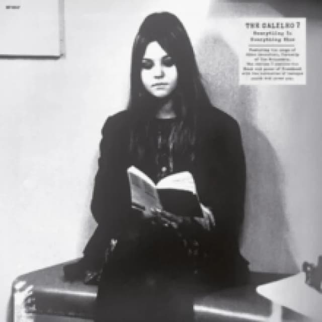 Everything is everything else Vinyl