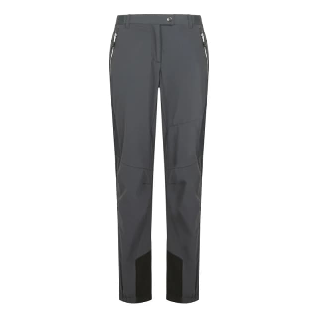 Womens hiking Trousers Regatta Mountain III Gris Female 36