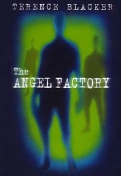The Angel Factory by Terence Blacker Hardback