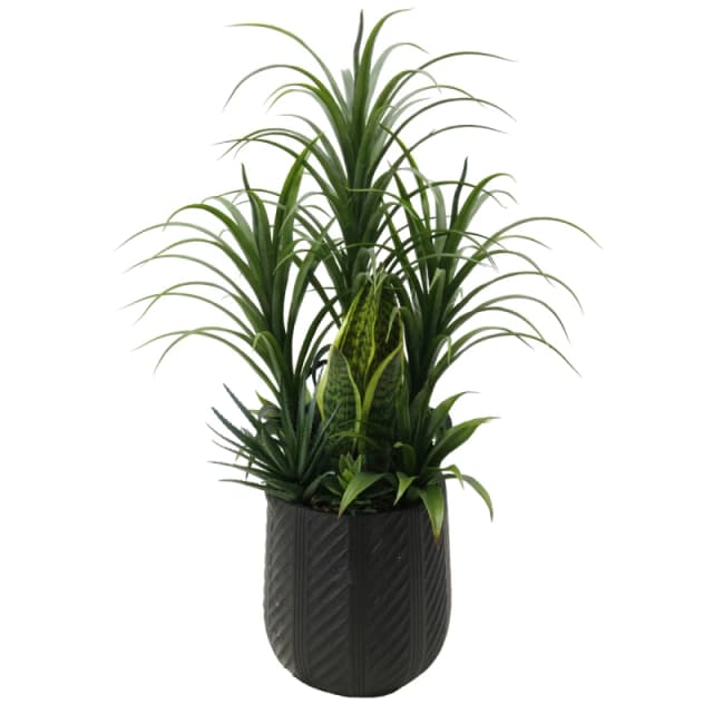 Leaf 107cm Artificial Yukka Display in Pot Artificial