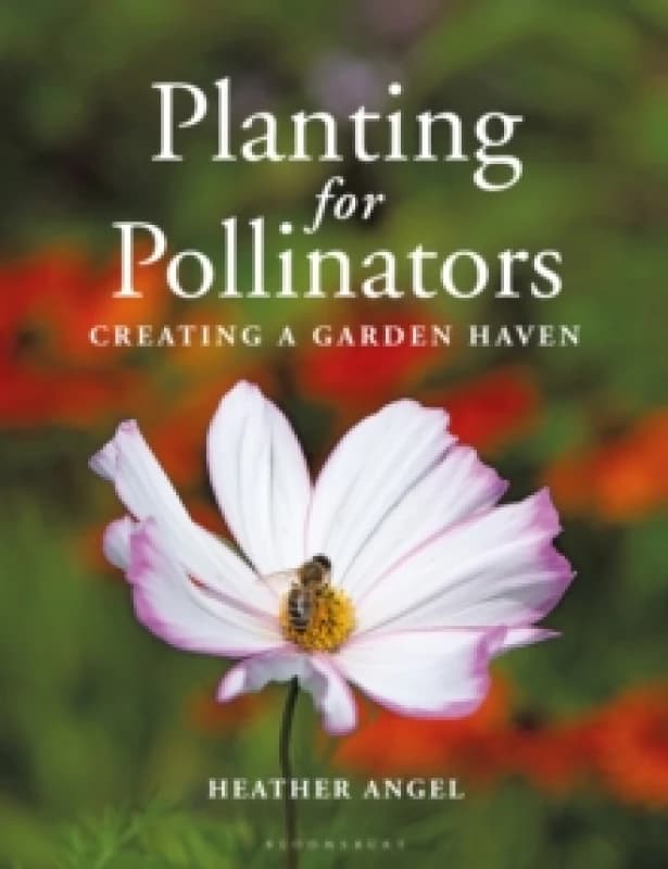 Planting for Pollinators : Creating a Garden Haven Paperback / softback