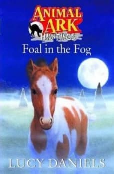 Foal in the Fog by Lucy Daniels Paperback