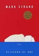 blizzard of one poems