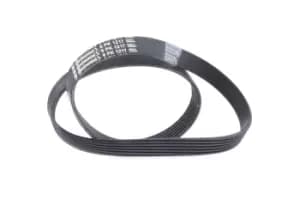 CONTITECH V-ribbed belt 6PK1217 Serpentine belt,Auxiliary belt OPEL,FORD,RENAULT,Corsa D Schragheck (S07),Astra J Sports Tourer (P10),ASTRA J
