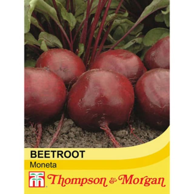 Thompson & Morgan Beetroot Moneta 1 Seed Packet (150 Seeds)
