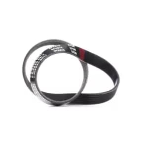 RIDEX V-ribbed belt 305P0204 Serpentine belt,Auxiliary belt OPEL,RENAULT,FIAT,Movano Kastenwagen (X70),Movano Bus (X70)