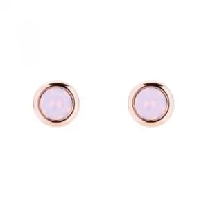 Ted Baker Ladies Rose Gold Plated Sinaa Crystal Stud Earring