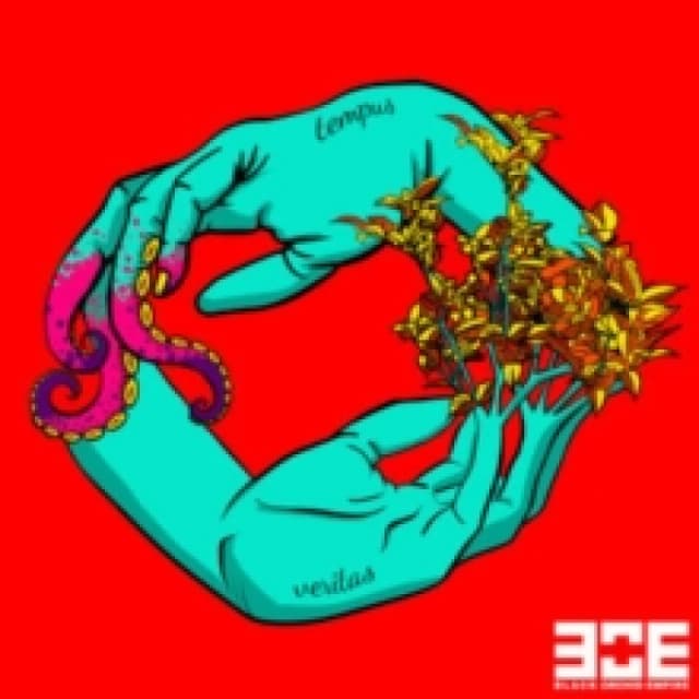 Tempus veritas Vinyl