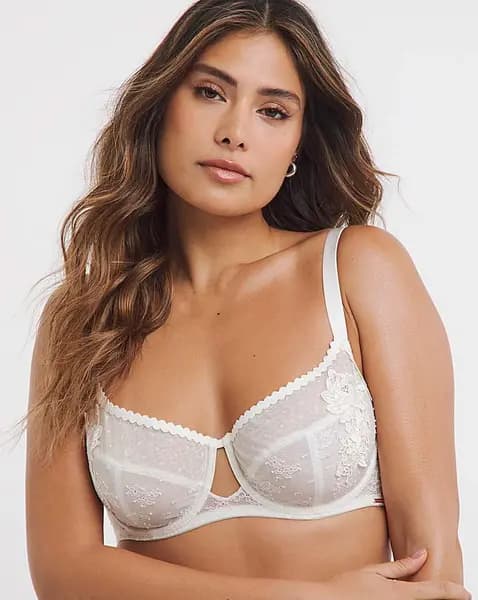 Dorina Curves Aniyan Full Cup Bra Ivory Ivory Female 42E LO67625