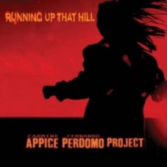 Running up that hill CD / Album