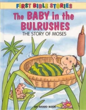 The Baby in the Bulrushes by Jackie Andrews and Roger De Klerk Book