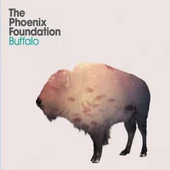 The Phoenix Foundation - Buffalo Vinyl