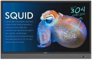 BenQ RM8601K 86" 4K Interactive Touch Screen Display