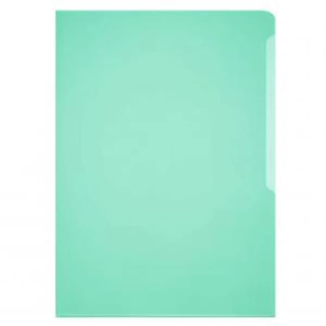 Durable BUSINESS Pockets 50 A4 Green