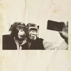 Crazy P - Age Of The Ego Vinyl