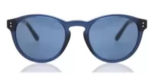 Polo Ralph Lauren Sunglasses PH4172 595580