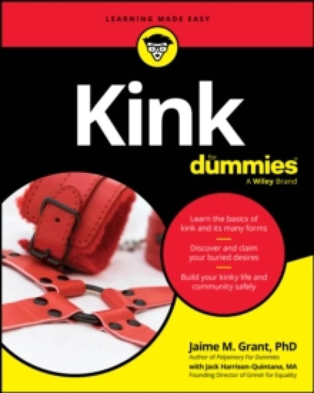 Kink For Dummies Paperback / softback