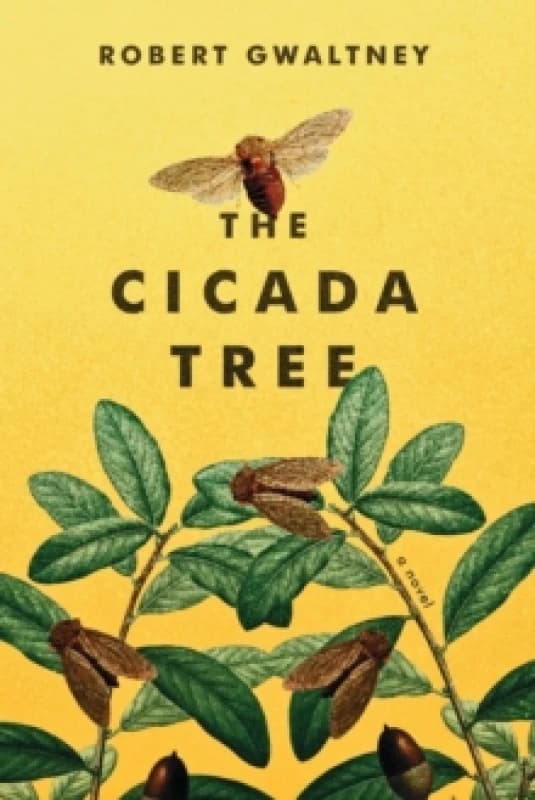 The Cicada Tree Paperback / softback