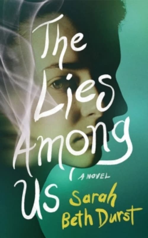The Lies Among Us : A Novel Paperback / softback
