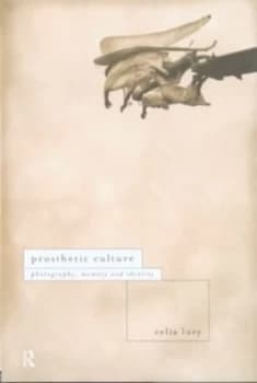 Prosthetic Culture by Celia Lury Paperback