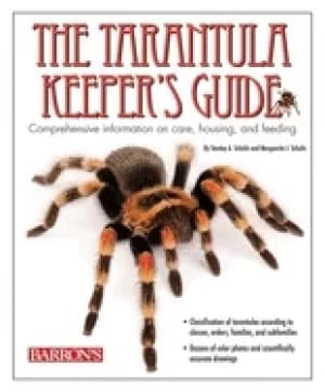 tarantula keepers guide comprehensive information on care housing and feed