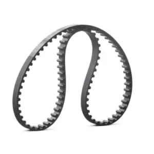 RIDEX Timing Belt 306T0020 Cam Belt,Toothed Belt RENAULT,NISSAN,TWINGO I (C06_),CLIO II (BB0/1/2_, CB0/1/2_),TWINGO II (CN0_),KANGOO (KC0/1_)