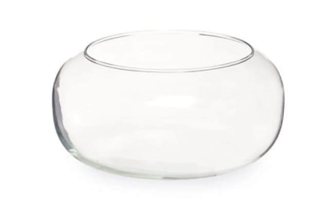 Premier Housewares Ambra Clear Glass Bouquet Globe Clear